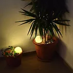 Near The With Huge Private Terrace