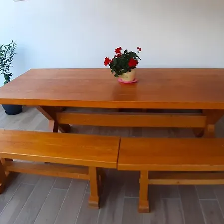 Near The With Huge Private Terrace Apartment