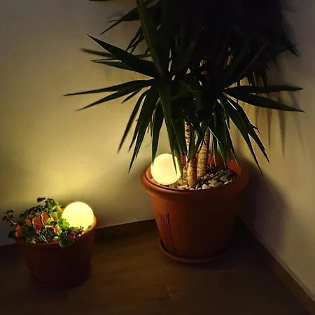 Near The With Huge Private Terrace