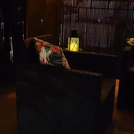 Near The With Huge Private Terrace Apartment