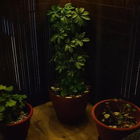 Apartman Near The With Huge Private Terrace *