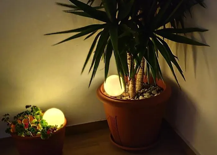 Near The With Huge Private Terrace