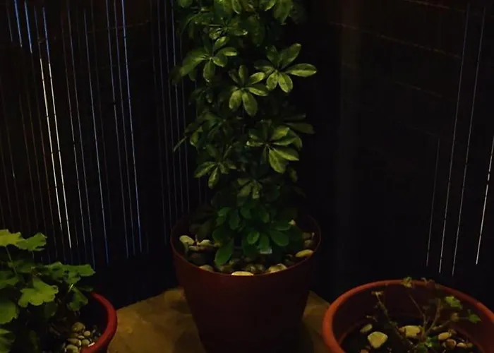 Апартаменты Near The With Huge Private Terrace *